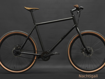 Nachtigall-Pinion-Titan-Rad