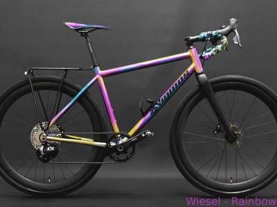 Wiesel-am-Regenbogen