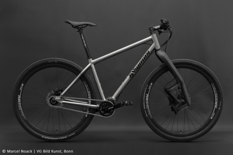 29er Pinion MTB