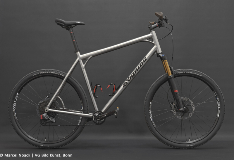 Ungetüm XXL Titan 29er MTB
