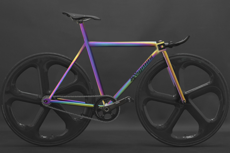 Singlespeed Tollwut